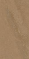 Плитка Casalgrande Padana Amazzonia Dragon Brown 45x90 см, поверхность матовая