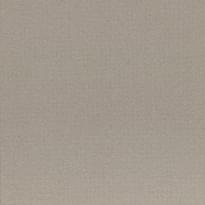 Плитка Casalgrande Padana Earth Grigio2 60x60 см, поверхность матовая, рельефная