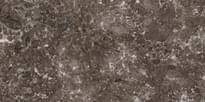 Плитка Casalgrande Padana Marmoker Grigio Billiemi Lucido 45x90 см, поверхность полированная