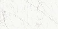 Плитка Casalgrande Padana Marmoker Titan White Honed 29.5x59 см, поверхность полуматовая