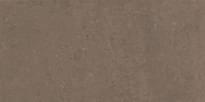 Плитка Casalgrande Padana Marte Ramora Brown Levigato 9.4 Mm 60x120 см, поверхность полированная