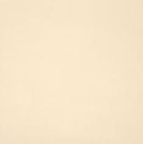 Плитка Casalgrande Padana Unicolore Bianco Avorio 20x20 см, поверхность матовая