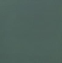 Плитка Casalgrande Padana Unicolore Verde 20x20 см, поверхность матовая