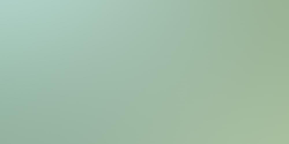 Cedit Cromatica Verde Opaco Ret 120x240