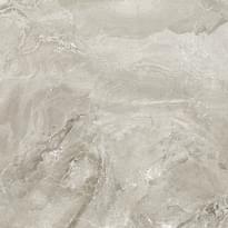 Плитка Ceracasa Dolomite Rect Cinder 49.1x49.1 см, поверхность матовая