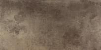 Плитка Ceracasa Evolution Titano 49.1x98.2 см, поверхность полуполированная