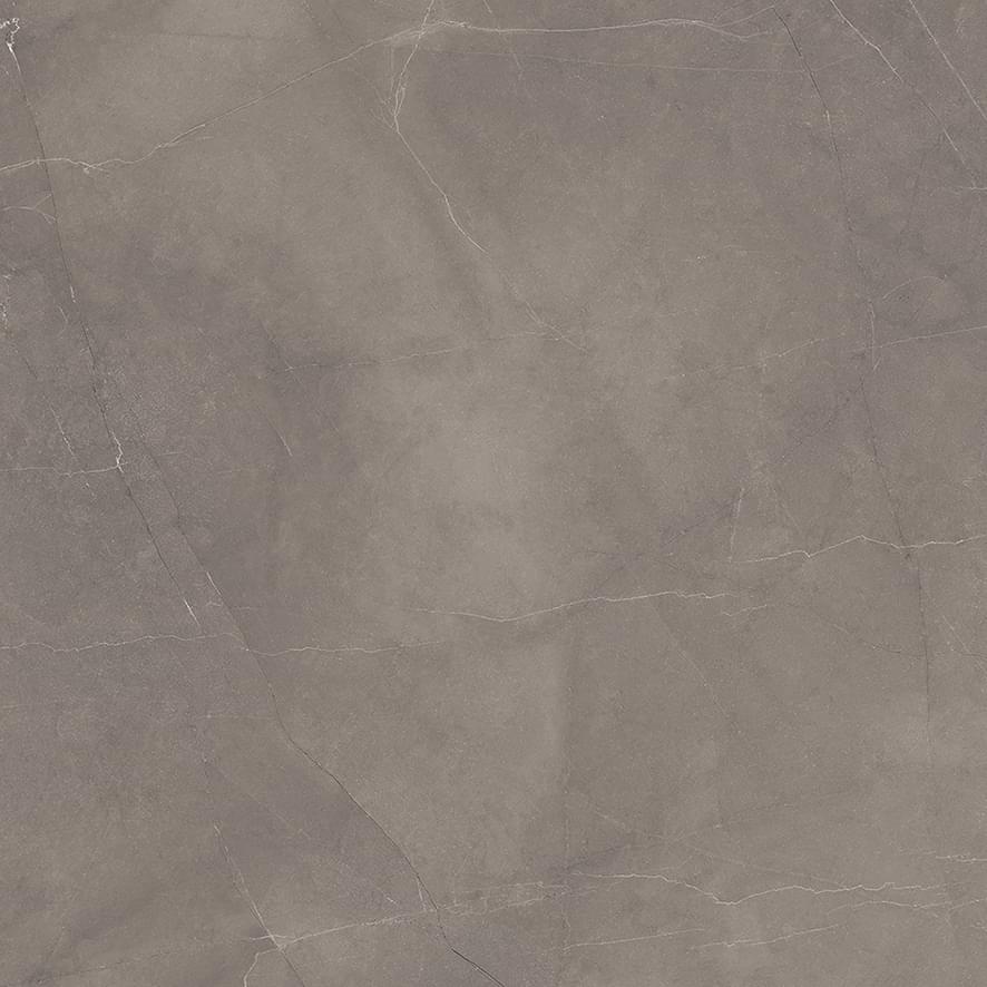 Плитка Ceradim Stone Micado Grey Полированный 60x60 см, поверхность полированная