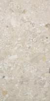 Плитка Cercom Ceppo Di Gres Avorio 60x120 см, поверхность матовая