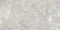 Плитка Cerdisa Pure Supreme Grey Lux 29.6x59.4 см, поверхность полированная