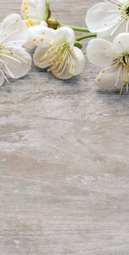 керамогранит фабрики Cerdomus коллекция Club