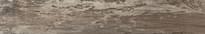 Плитка Cerdomus Club Grey Rett. 16.5x100 см, поверхность матовая