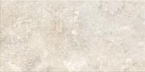 Плитка Cerdomus Regis Bianco 20x40 см, поверхность матовая