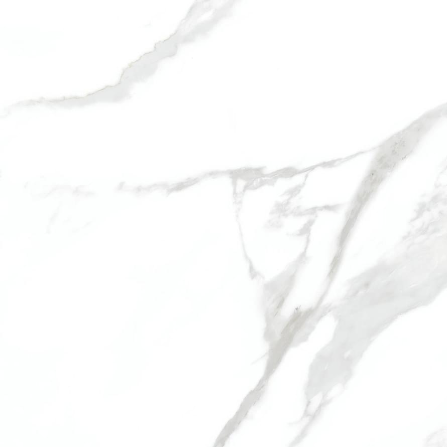 Cerdomus Statuario Bianco  60x60