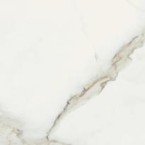 Плитка Cerim Antique Marble Pure Lucido 60x60 см, поверхность полированная