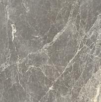 Плитка Cerim Exalt Gray Lace Naturale 60x60 см, поверхность матовая