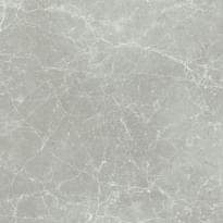 Плитка Cerim Exalt Silver Light Naturale 80x80 см, поверхность матовая