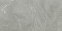 Плитка Cerim Timeless Amani Grey Lucido Rett 60x120 см, поверхность полированная