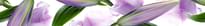 Плитка Cerrol Imperia Listwa Violetta 6.5x50 см, поверхность глянец, рельефная