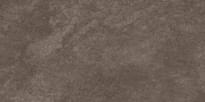 Плитка Cersanit Orion Коричневый 29.8x59.8 см, поверхность матовая