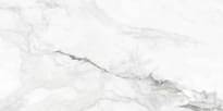 Плитка Colorker Insignia White Pulido 60x120 см, поверхность полированная