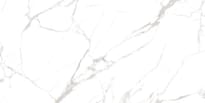 Плитка Colortile Noble Super White Satin Matt 60x120 см, поверхность полуматовая