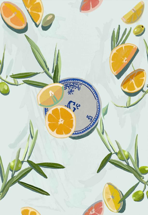 Coordonne Wander Bodegon Aqua Флизелин 10м x 50см поверхность