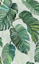 Coordonne Wander Carioca Green Флизелин 10м x 50см поверхность
