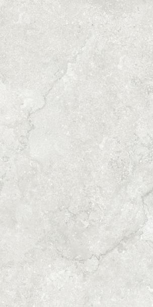 Плитка Creatile Stone And Marble Античный Камень Серебристый 60x120 см, поверхность матовая