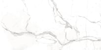 Плитка Creatile Whites Bianco Dolomite 60x120 см, поверхность полированная