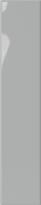 Плитка DNA Plinto Grey Gloss 10.7x54.2 см, поверхность глянец