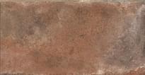 Плитка Dado Ceramica Tavellone Vecchia Firenze IN 15.3x31 см, поверхность матовая