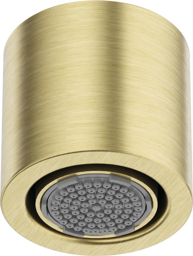 Плитка Deante Silia Душевая головка SILIA золото матовый  поверхность брашированная