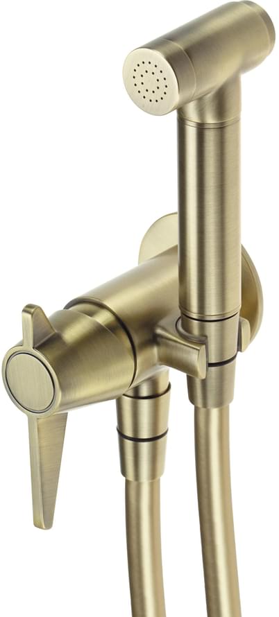 Плитка Deante Temisto Смеситель встраиваемый TEMISTO с гигиеническим душем латунь  поверхность брашированная