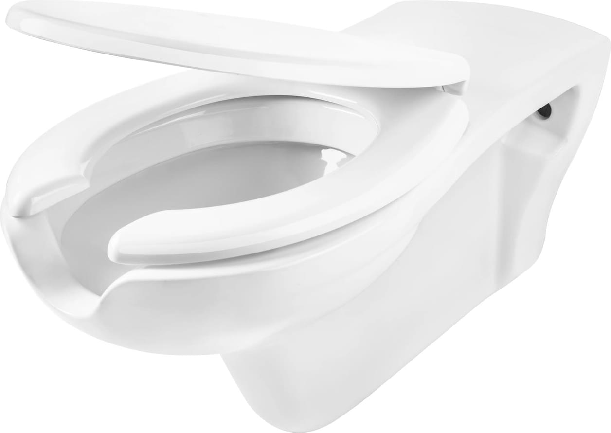 Плитка Deante Vital Унитаз подвесной VITAL сиденье 68x37 белый  поверхность глянец