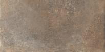 Плитка Del Conca Vignoni Hvg209 Noce Spess Rett Hard 40x80 см, поверхность матовая