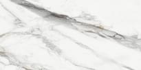 Плитка Delacora Carrara Cersei Carving 60x120 см, поверхность матовая, рельефная