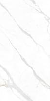 Плитка Delfone Saint Blanc Dc6M78Br3-N Calacatta 120x270 см, поверхность полуматовая
