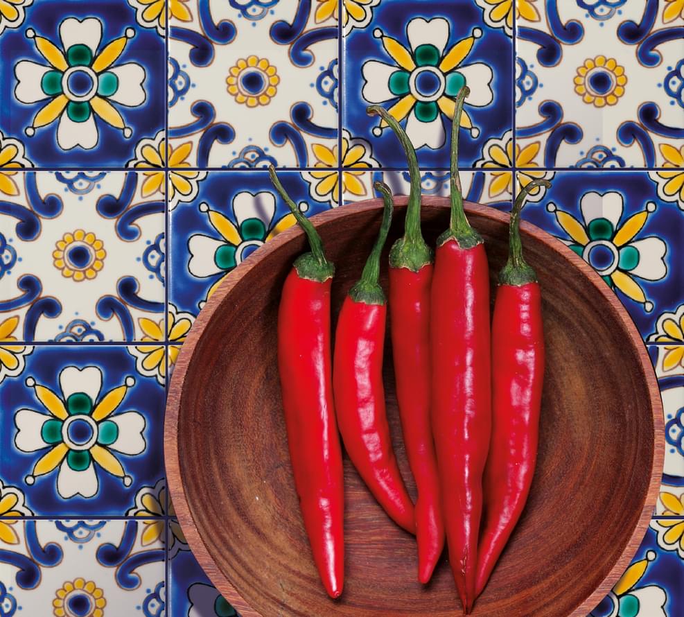 керамика фабрики Diffusion коллекция Doremail Mexicains