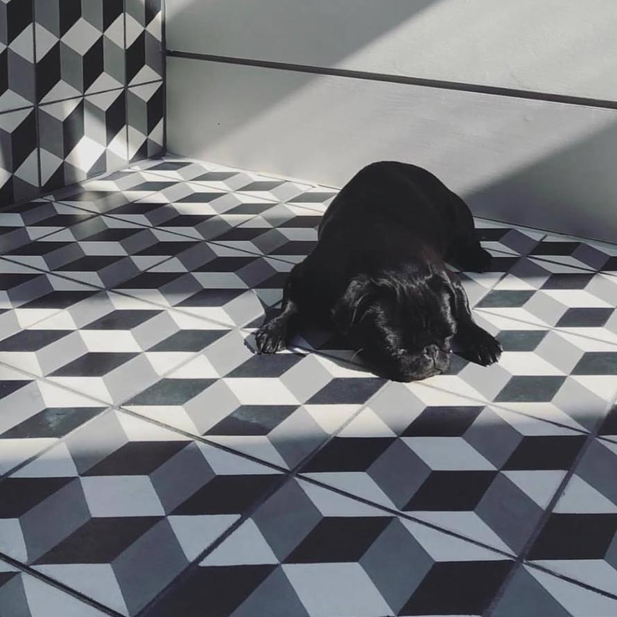 керамогранит фабрики Diffusion коллекция Porcelain Decors