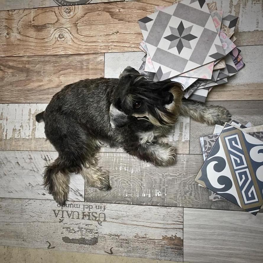 керамогранит фабрики Diffusion коллекция Porcelain Decors