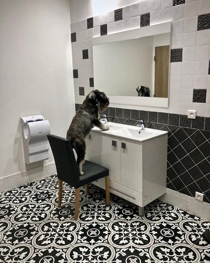 керамогранит фабрики Diffusion коллекция Porcelain Decors