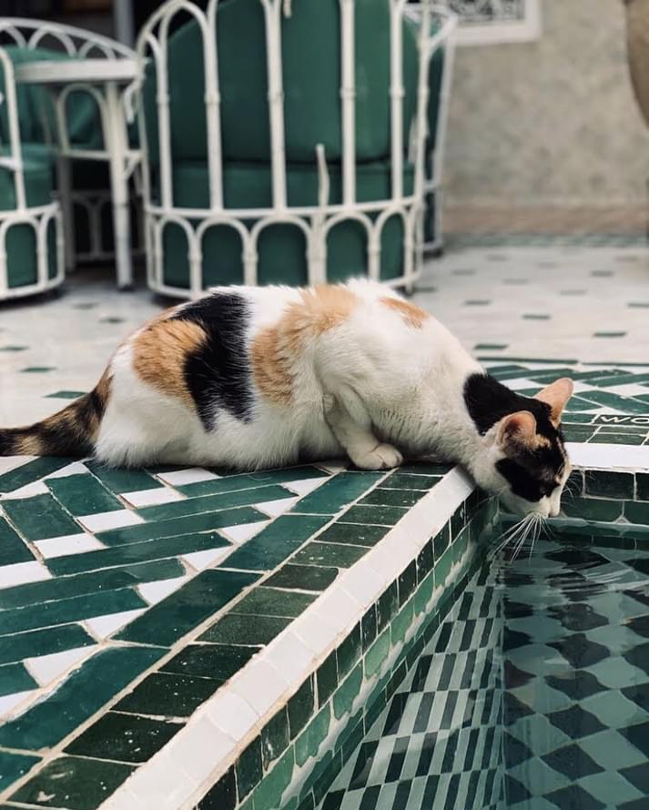 керамика фабрики Diffusion коллекция Zellige