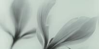 Плитка Domino Ceramika Joy Decor Glass Flower 22.3x44.8 см, поверхность глянец