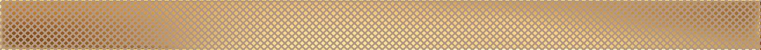 Domino Ceramika Selvo Strip Gold 4x60.8