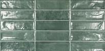 Плитка Ecoceramic Pool Green 31.6x60 см, поверхность глянец