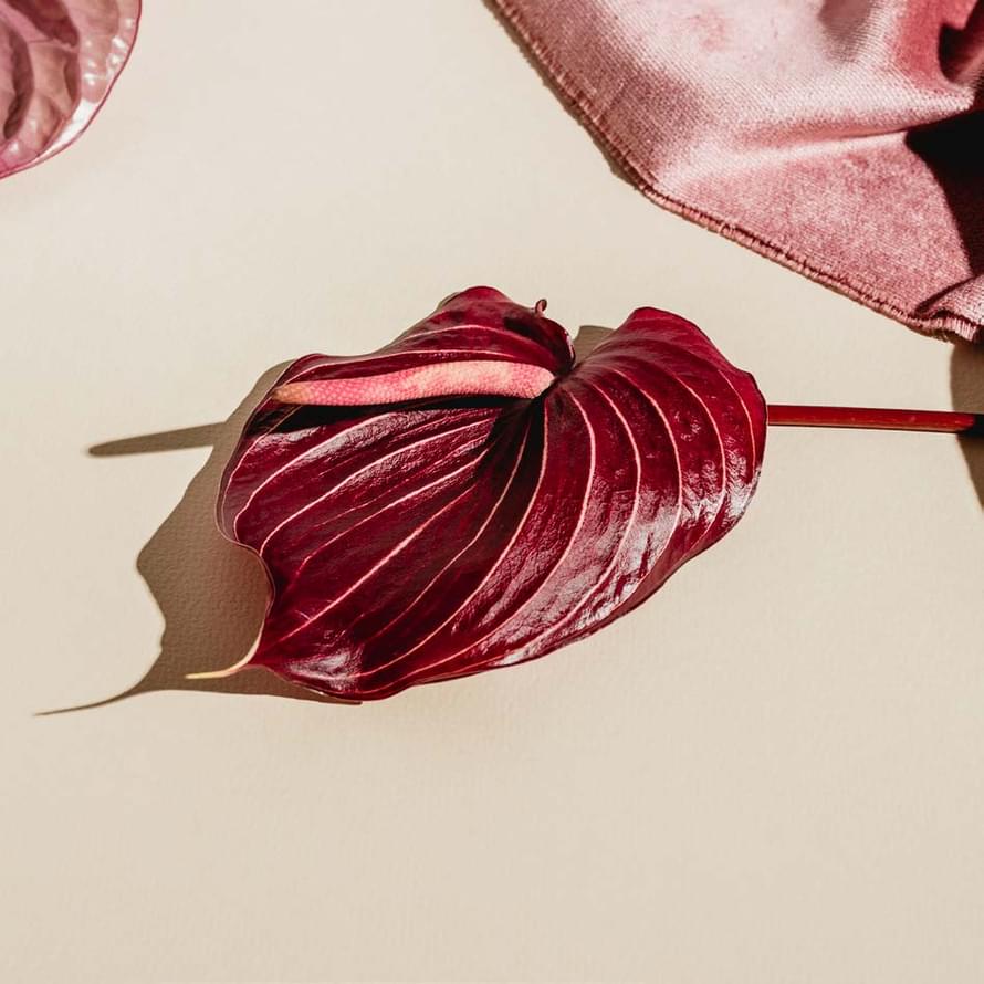 керамогранит фабрики Edimax коллекция Velvet