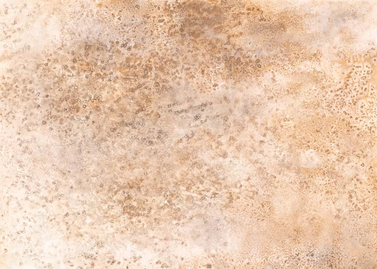 Emil And Hugo Moana Coral Stone Grande Beige 4.24м x 300см поверхность