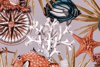 Emil And Hugo Moana Reef Coral Red 10.05м x 53см поверхность
