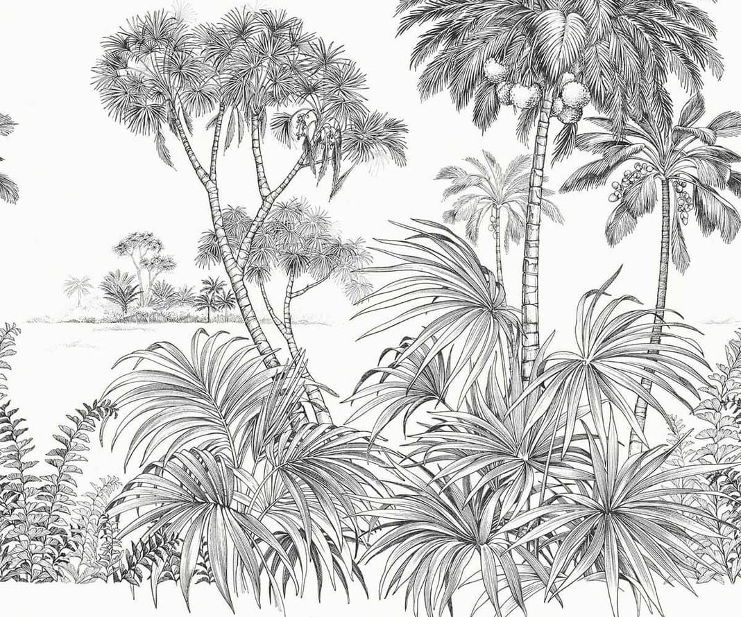 Emil And Hugo Samoa Upolu Black And White 2м x 300см поверхность