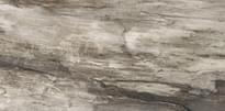 Плитка Emil Ceramica Petrified Tree Grey Bark Nat 45x90 см, поверхность матовая